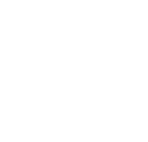 Logo 9